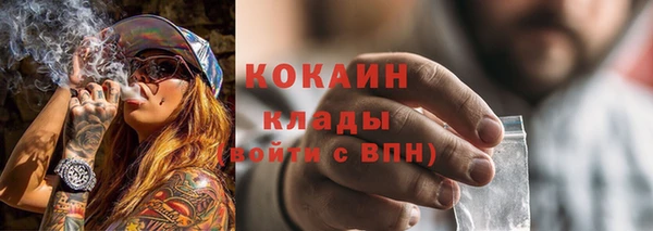 ГАЛЛЮЦИНОГЕННЫЕ ГРИБЫ Армянск