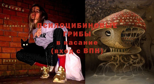 ГАЛЛЮЦИНОГЕННЫЕ ГРИБЫ Армянск
