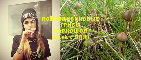 ГАЛЛЮЦИНОГЕННЫЕ ГРИБЫ Армянск