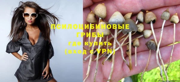 спайс Дмитровск