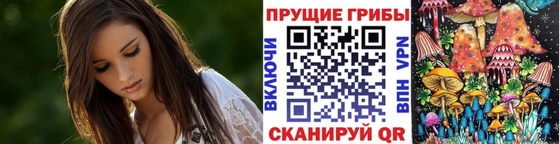 Псилоцибиновые грибы Cubensis  Купить закладки  Бикин 
